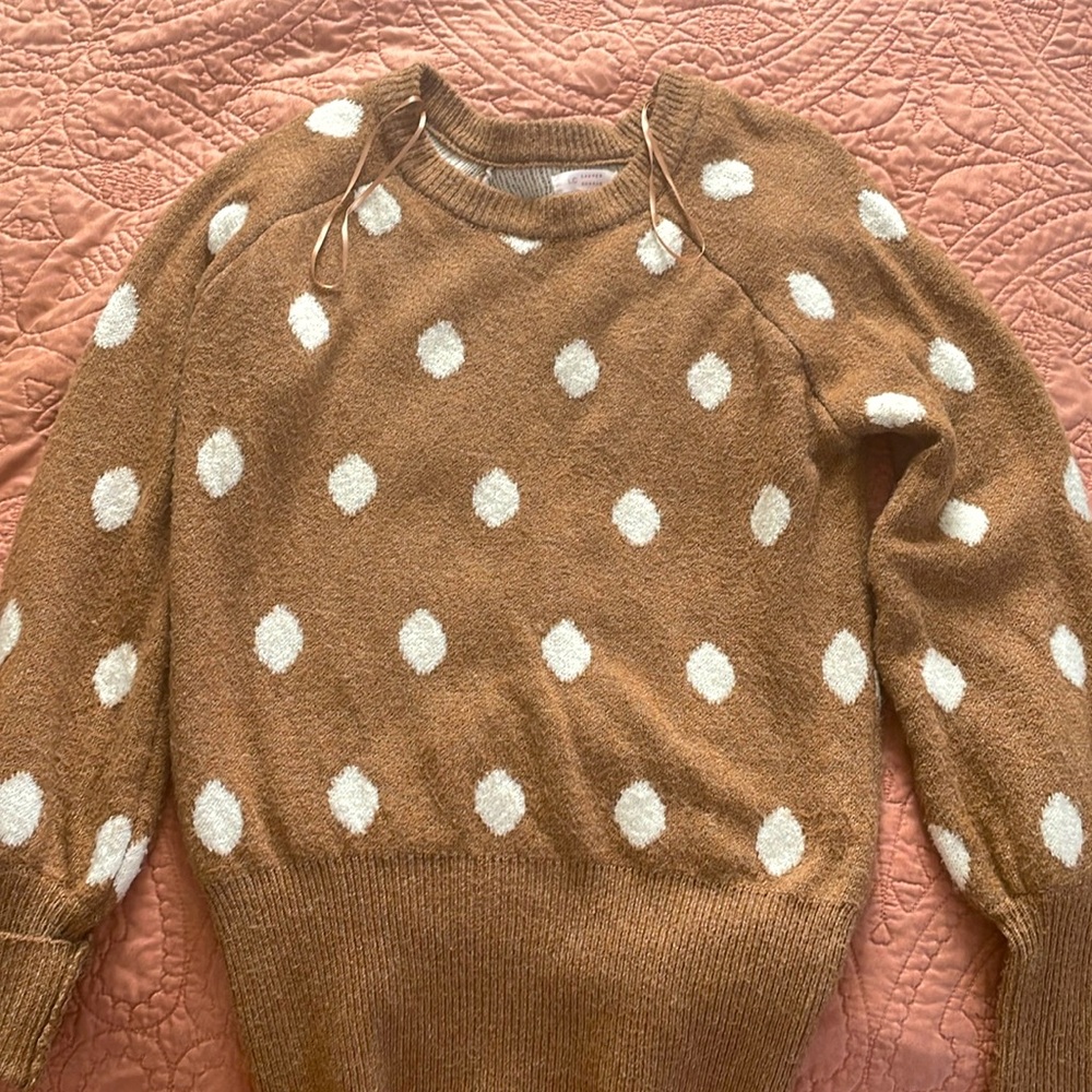 Lc cozy dot sweater